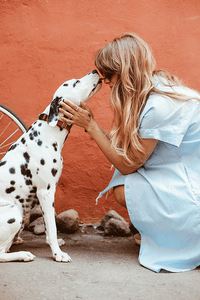 PETS